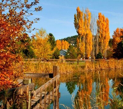 Autumn-Bed-and-Breakfasts